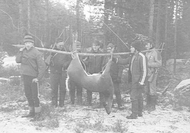 Saalispeura 70-luvulta